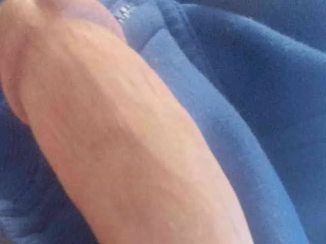 Donkeydicc60a