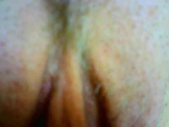 Xollan