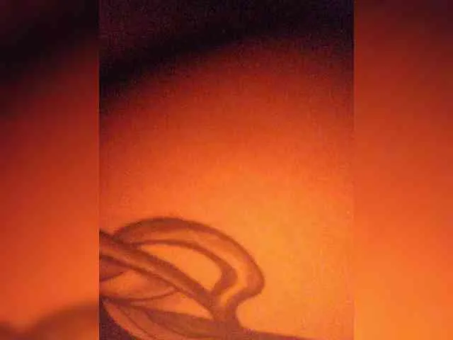 ZoeCamils
