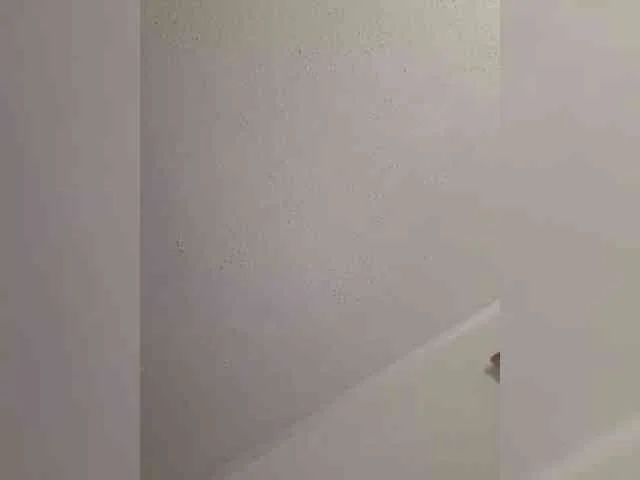 Napoliana