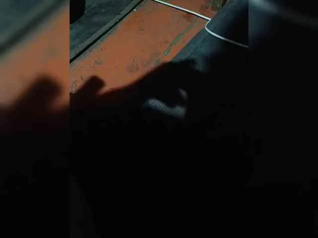 Kotik12121984