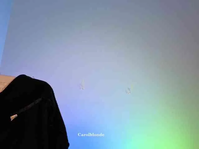 Carolblonde
