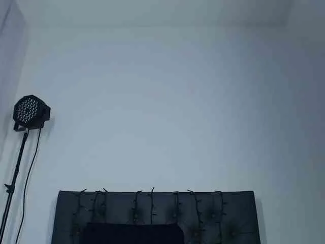 jessihorny