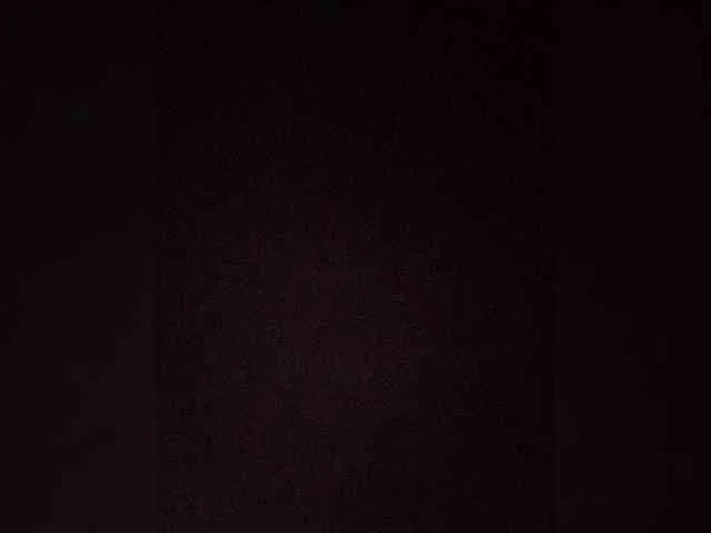 MITCHcumloader