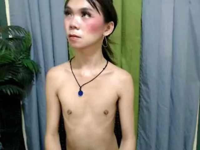 SKINNYasianSLUTs