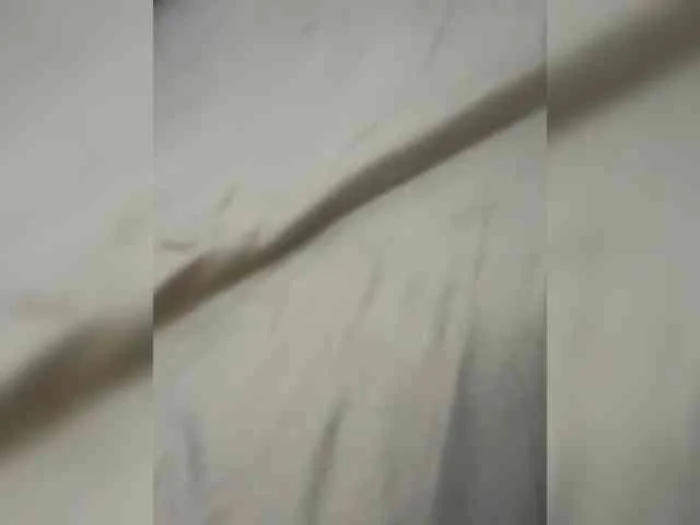 FlashRoyal01