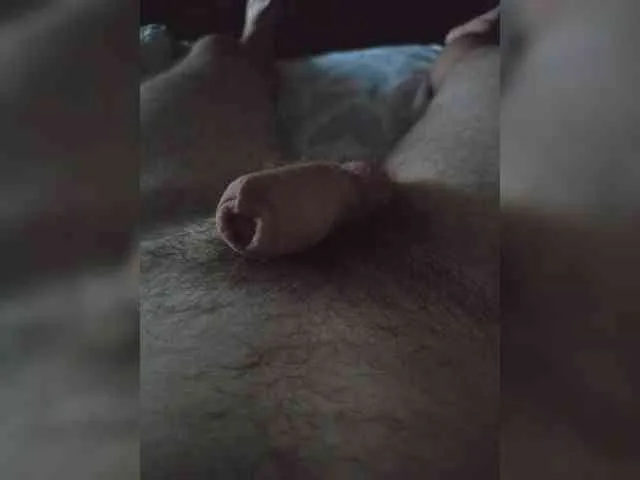 Kotik69b