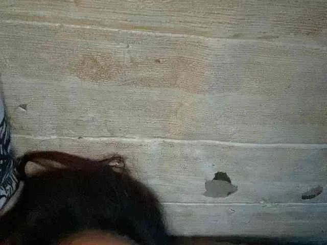 Rainie