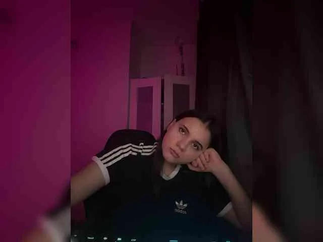Diksisilent