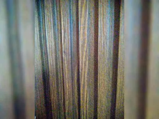 hornylittleprincess69