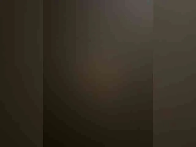 Night-furry77