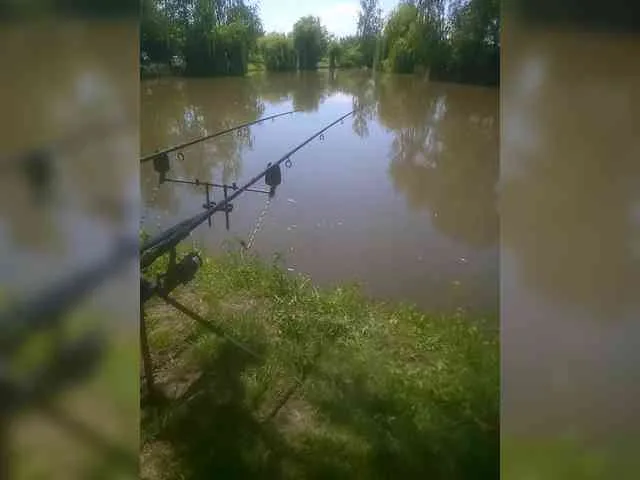 Alexandr2a