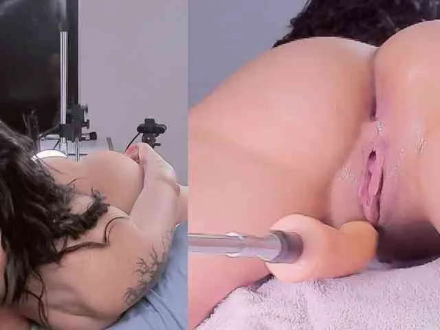 Amellia-rous