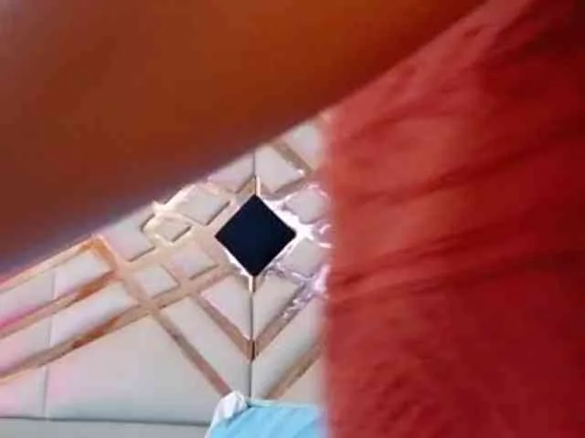 Sexyladyandhot