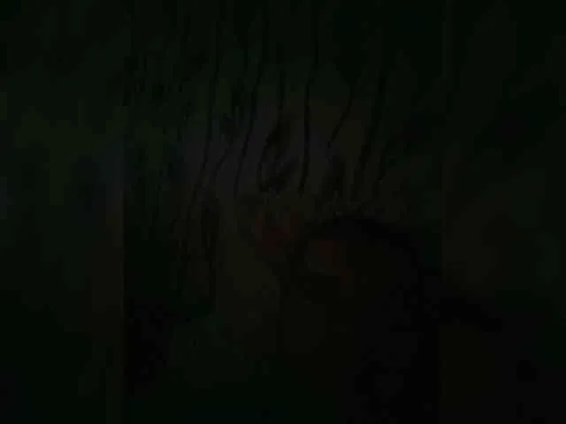 Huysosik