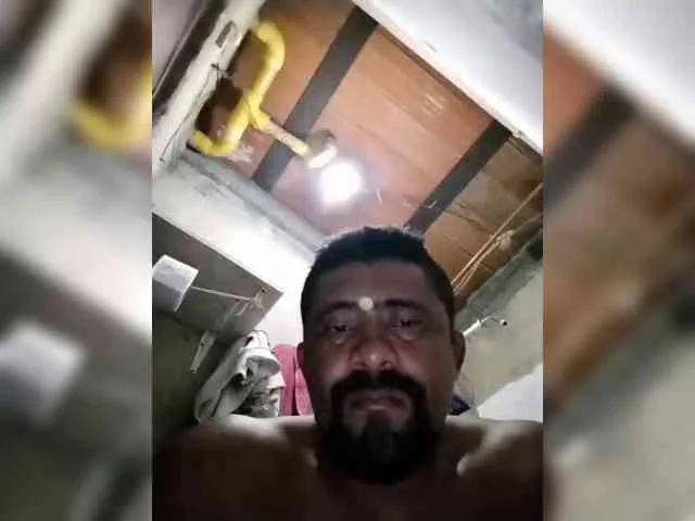 Perrosalvaje