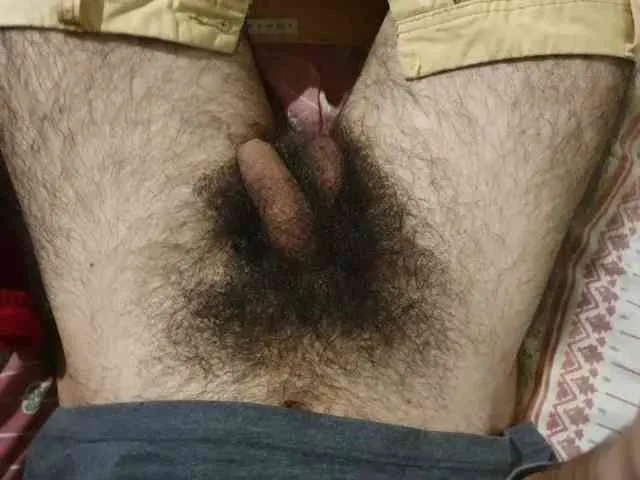 bomvemcam