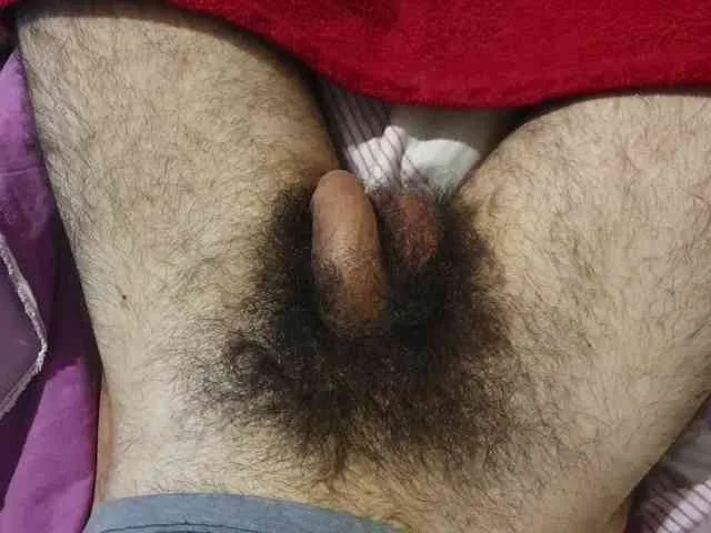 bomvemcam