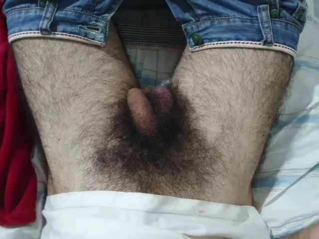 bomvemcam