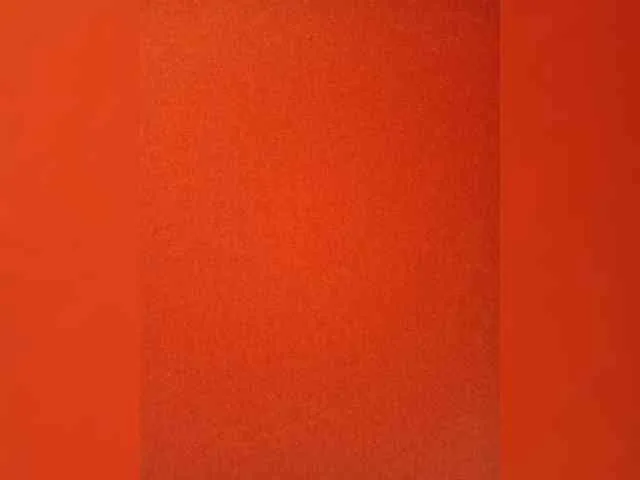 Andreika445
