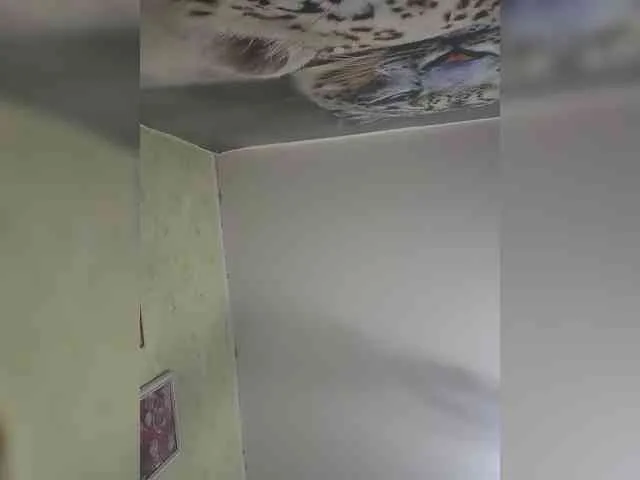 KittyTempreXXX
