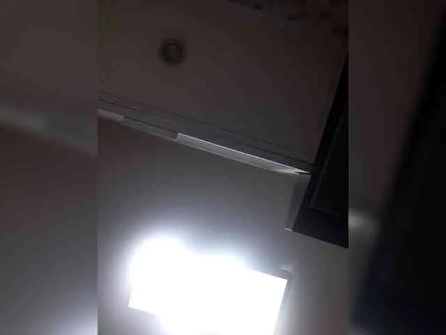 _LittleSammy