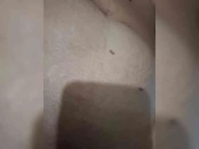El-mejor