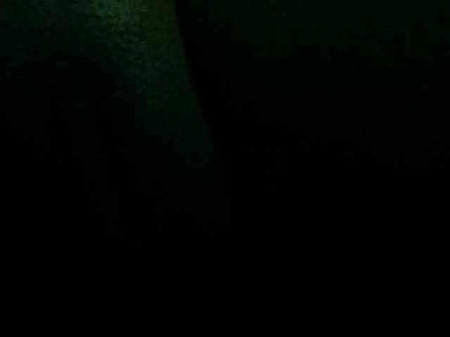 Nymphi