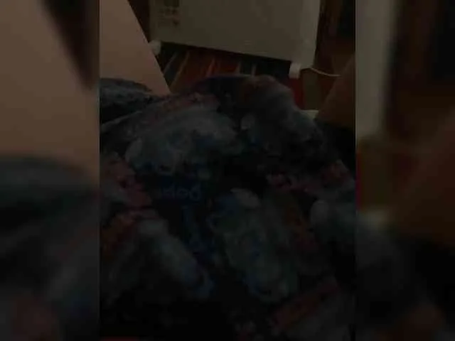 loverofsweetpussies1204