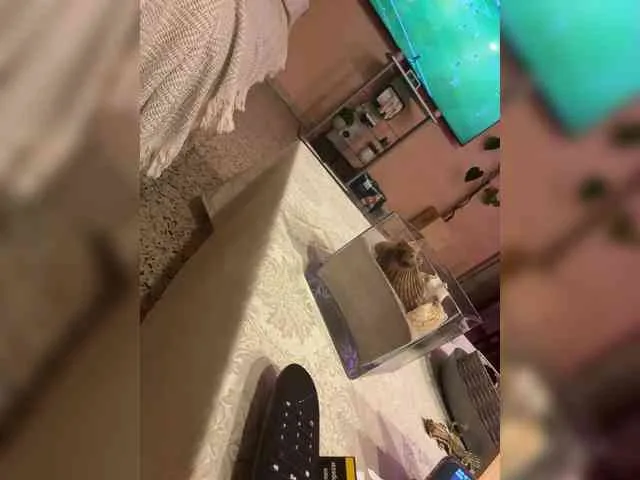 Gitanomadriddd