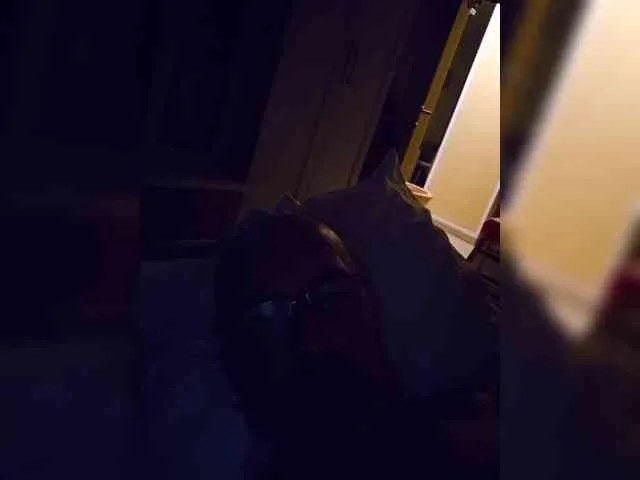 Andrejcek1