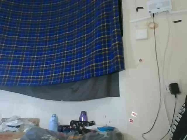 Vinsishly11