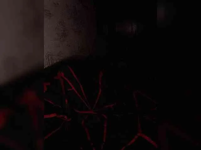 Avrori