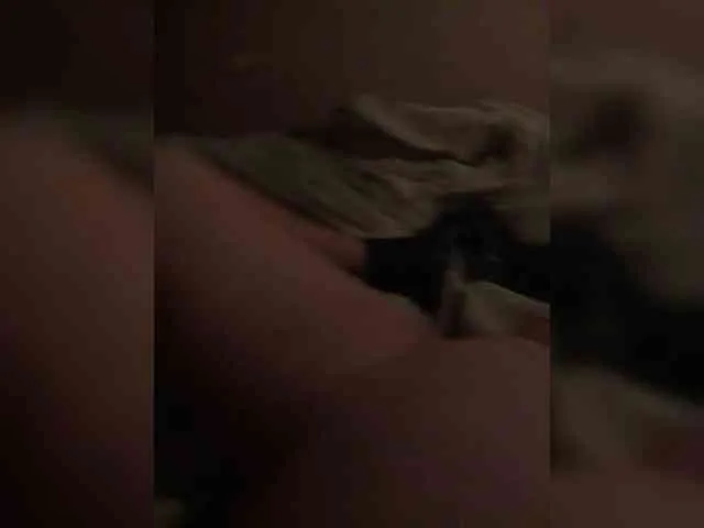 Virssieva74a