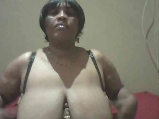 MyDDBOOBIES