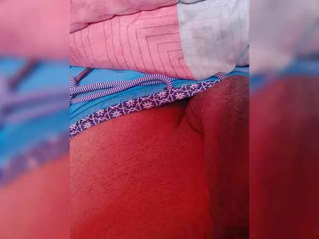 Elplomero