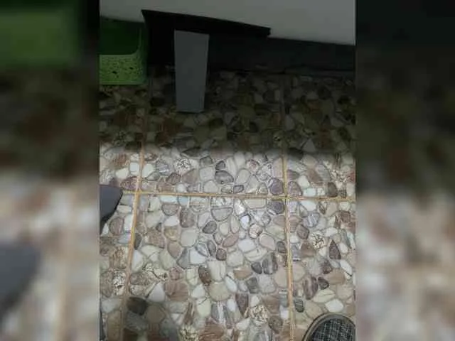 JustBong