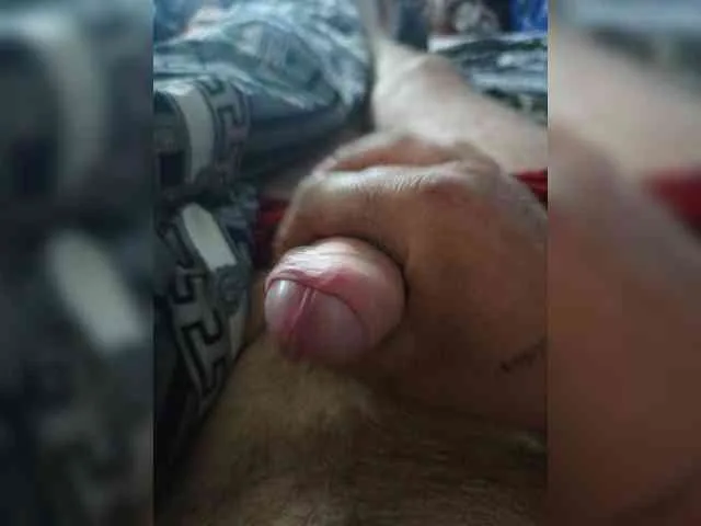 Alex229236