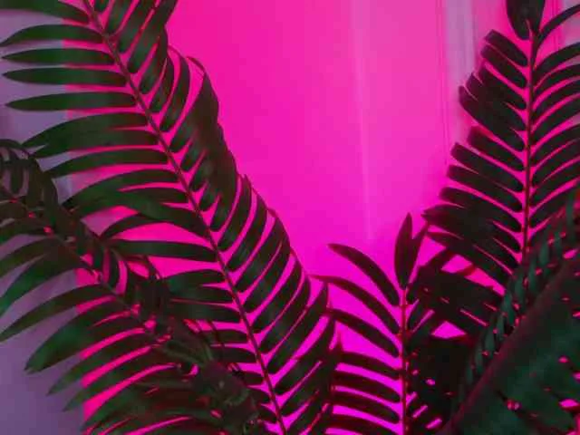 EssenaMonroe
