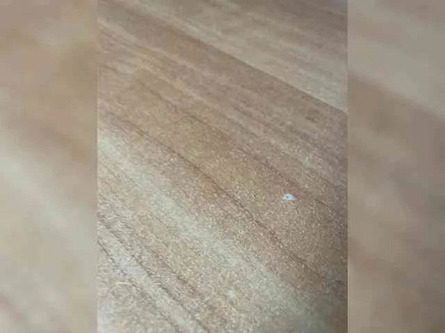 CaptainChill-D