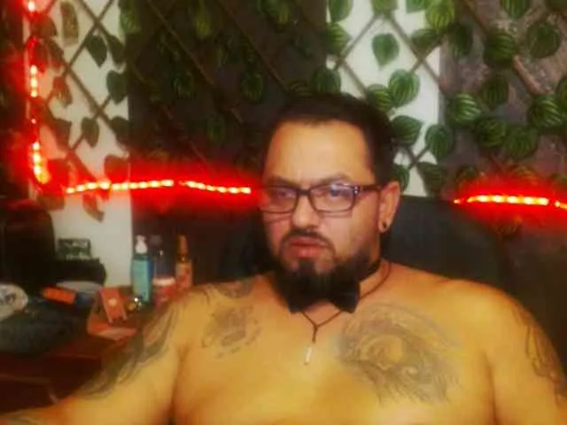 mrwolfff