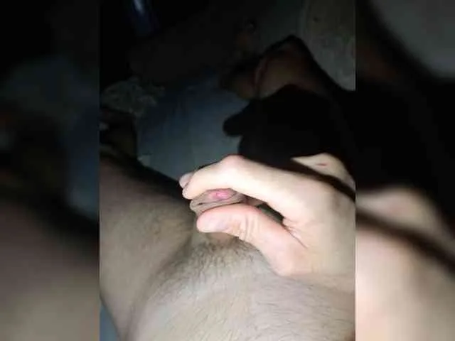 Feniks0111