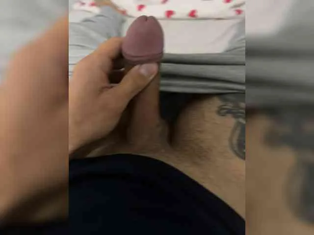 Donk13