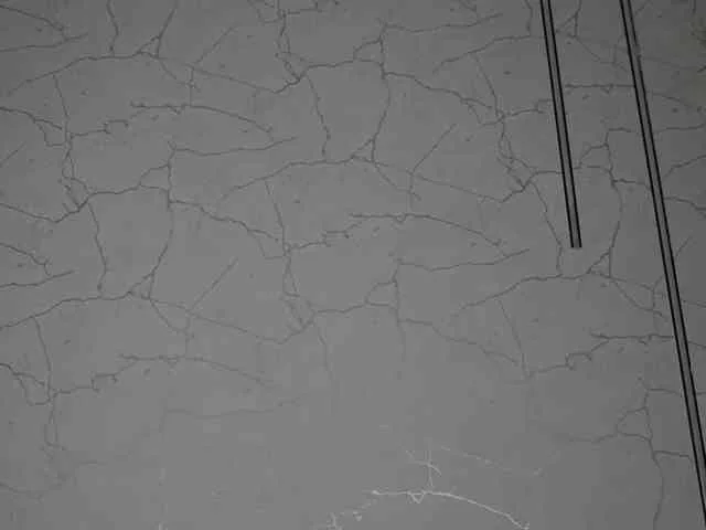 AvaDesire-