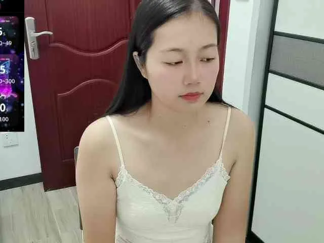 panda-sc231